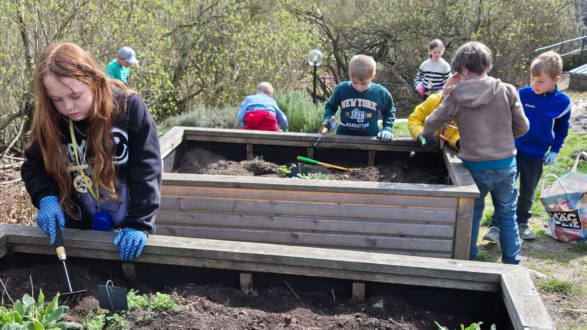 Garten Arbeit Kinder arbeiten am Beet auf der Oberburg Giebichenstein